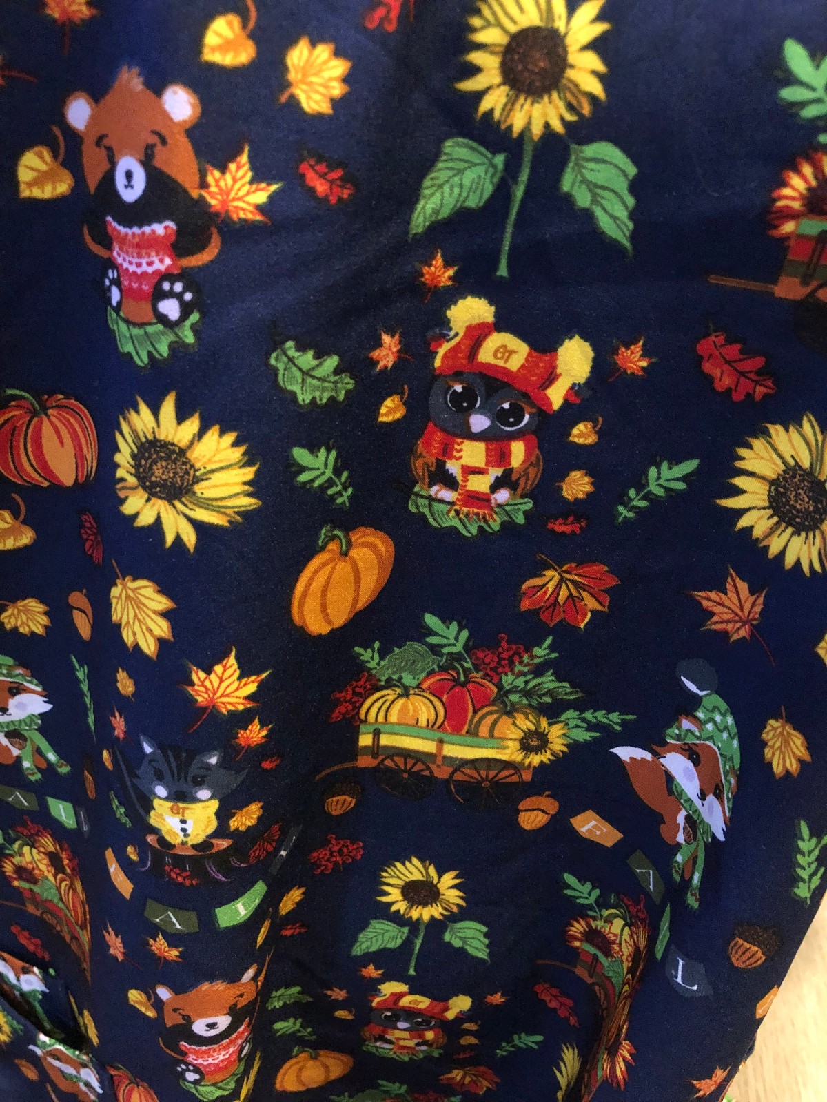 GT Scrub Scrubs Top Thanksgiving Pumpkins Fox Fall Theme Leaves XL (H250)